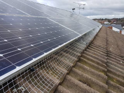 Bird Proofing Solar Panels Boston Small