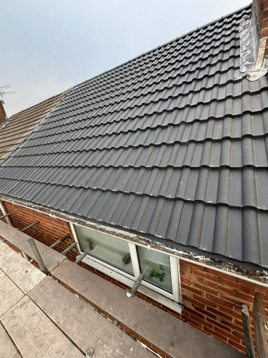 Re Roof Project In March Medium